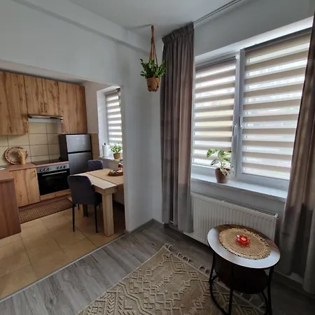 Magdalena Grey Centrum Urania Apartament *
